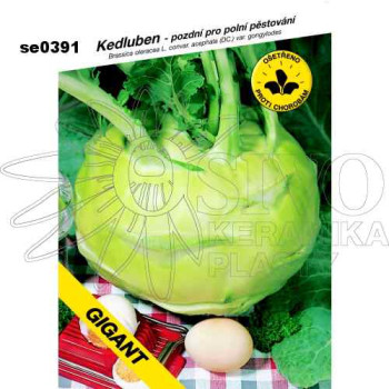 Kedluben GIGANT bílý