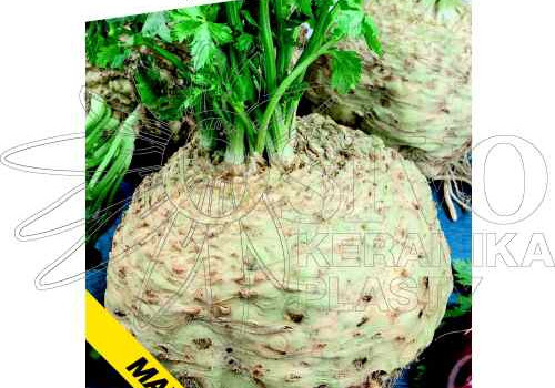 Celer celer celer už to vypuklo