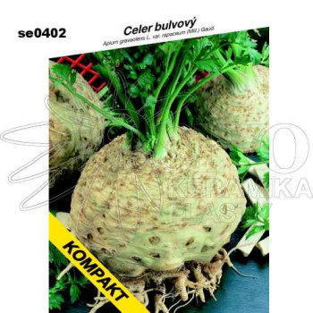 Celer Kompakt bulvový