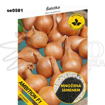 Cibule šalotka AMBITION F1