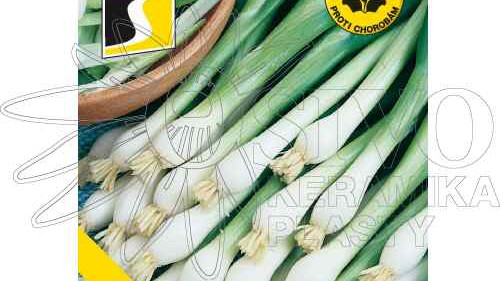 Nové druhy zimní cibule