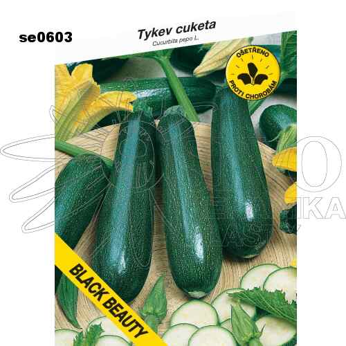 Tykev cuketa BLACK BEAUTY