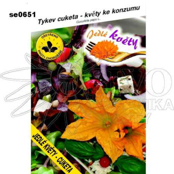 Tykev cuketa jedlé květy