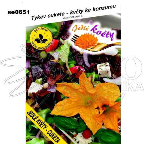 Tykev cuketa jedlé květy