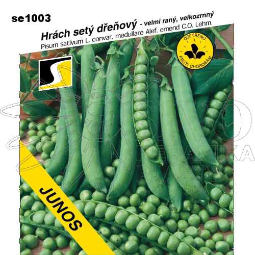 Hrách dřeňový JUNOS