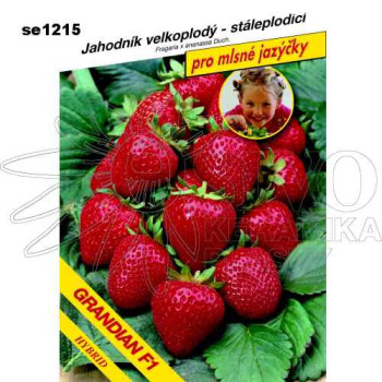 Jahodník GRANDIAN F1