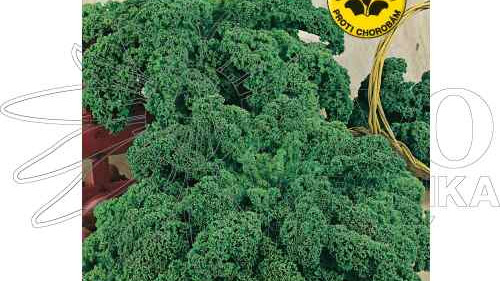 Smoothie recept s Kadeřávkem nebo s Kapustou