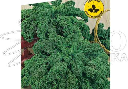 Smoothie recept s Kadeřávkem nebo s Kapustou