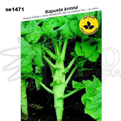 Kapusta krmná INKA