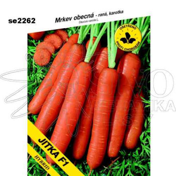 Mrkev obecná JITKA F1