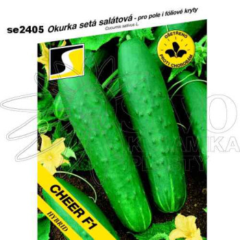 Okurka salátová CHEER F1