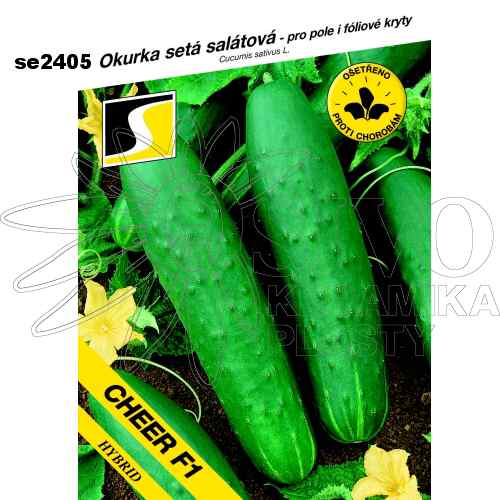 Okurka salátová CHEER F1