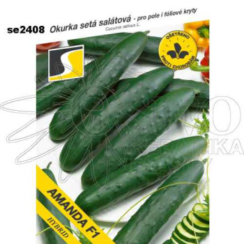 Okurka salátová AMANDA F1