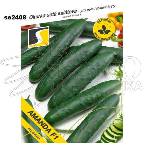 Okurka salátová AMANDA F1