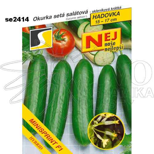 Okurka hadovka MINISPRINT F1