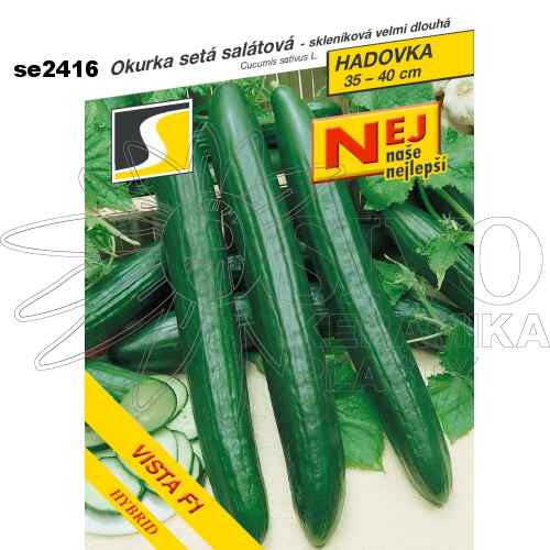 Okurka salátová hadovka VISTA F1