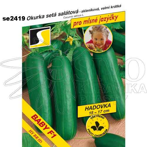 Okurka salátová BABY F1 15 cm