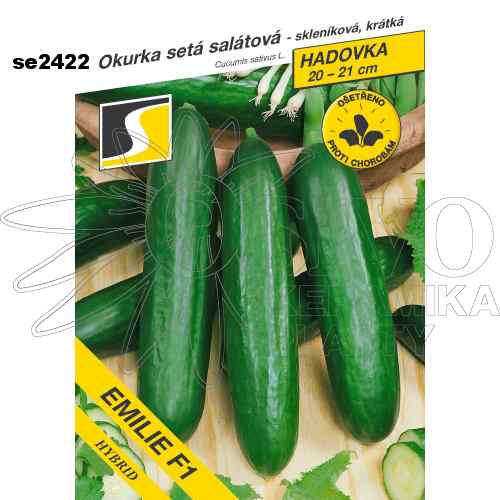 Okurka salátová EMILIE F1