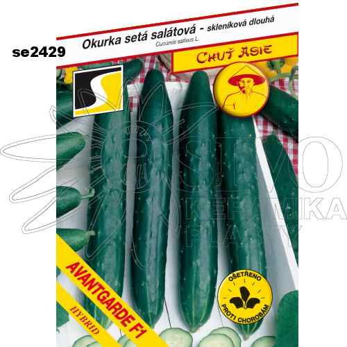 Okurka hadovka AVANTGARDE F1