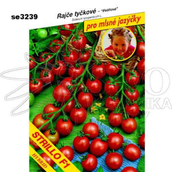 Rajče tyčkové STRILLO F1