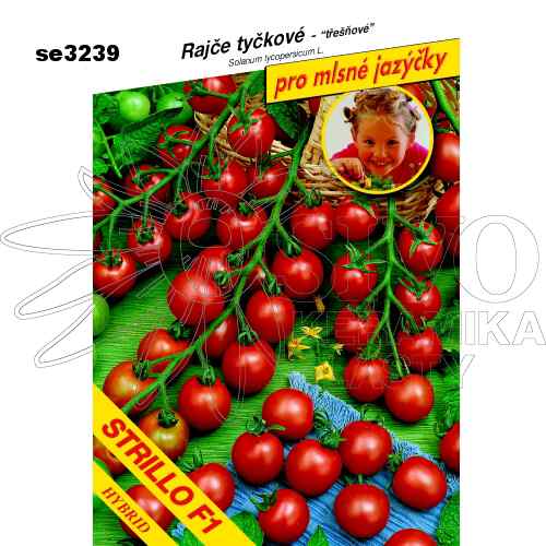 Rajče tyčkové STRILLO F1