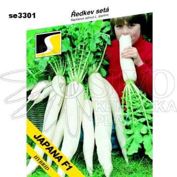 Ředkev JAPANA F1