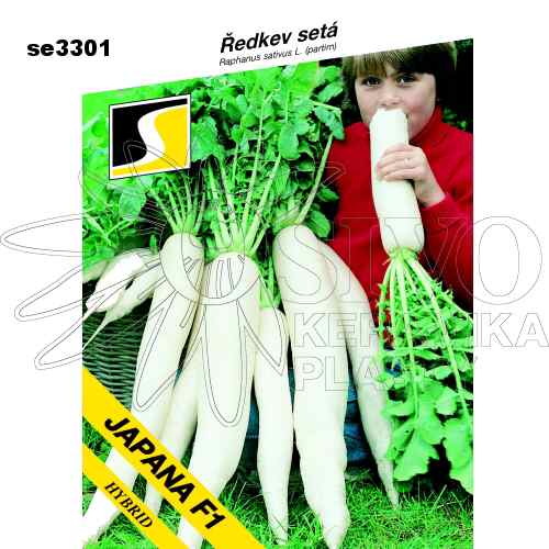 Ředkev JAPANA F1