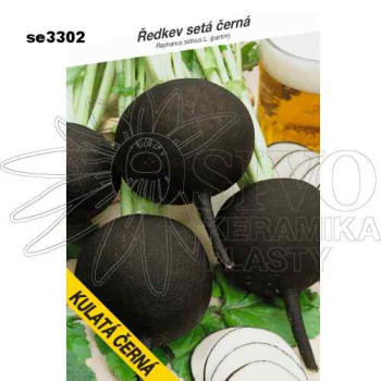 Ředkev KULATÁ ČERNÁ