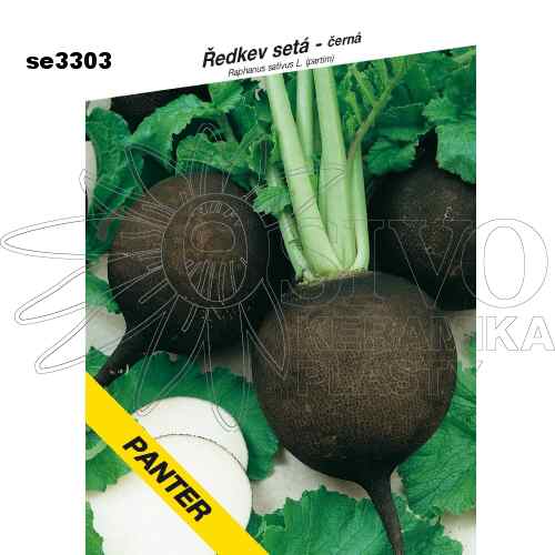 Ředkev PANTER