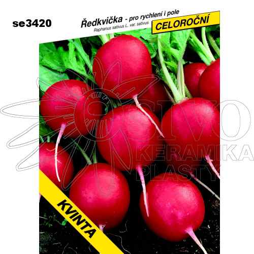 Ředkvička KVINTA celoroční