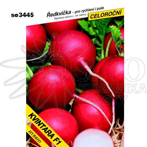 Ředkvička KVINTARA F1celoroční