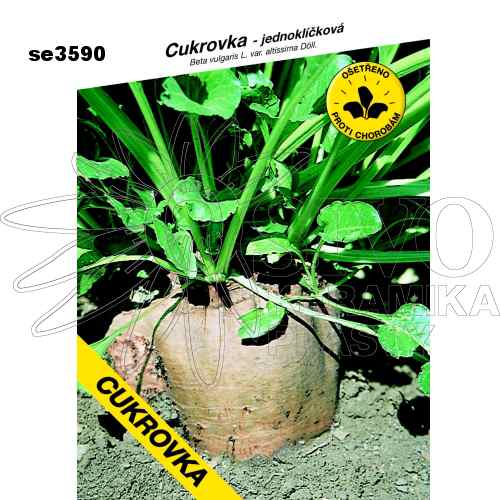 Cukrovka Bučaský žltý válec