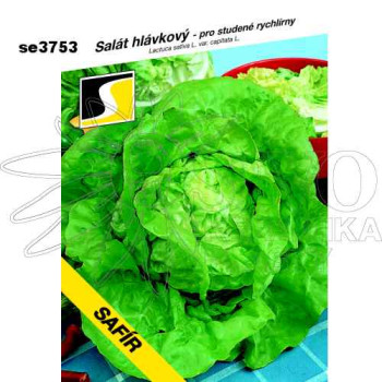 Salát hlávkový SAFÍR