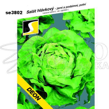 Salát hlávkový DEON