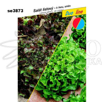 Salát listový SMĚS BOWL