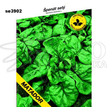 Špenát MATADOR