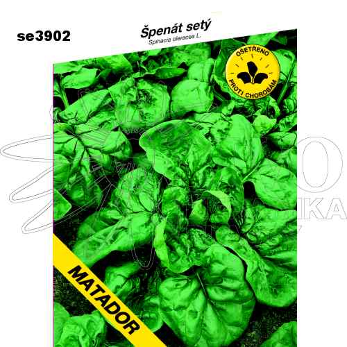 Špenát MATADOR