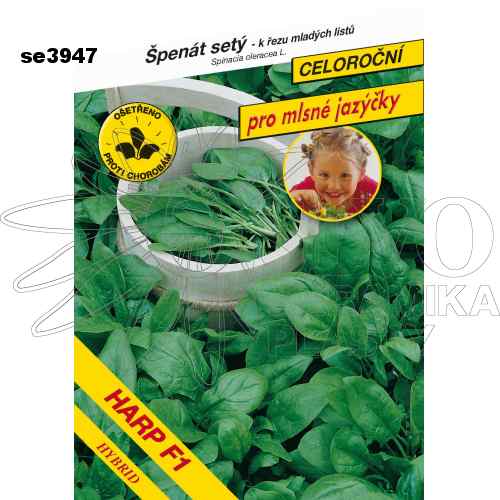 Špenát HARP F1