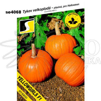 Tykev YELLOWGIRLS F1