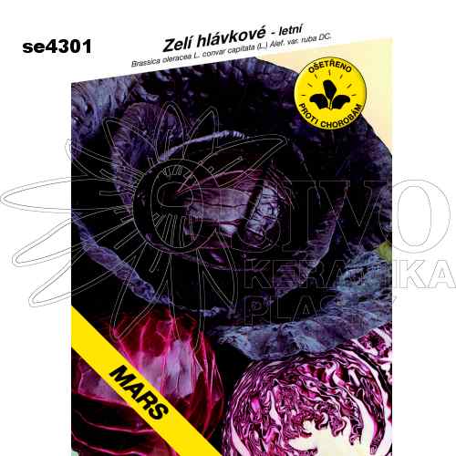 Zelí hlávkové MARS