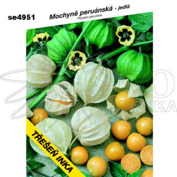 Mochyně peruánská jedlá