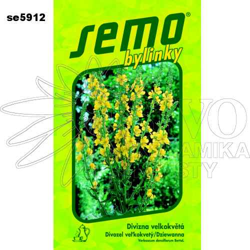 Divizna velkokvětá ZLATA