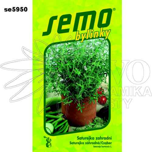 Saturejka zahradní Saturejka