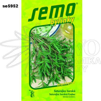 Saturejka zahradní MONTANA