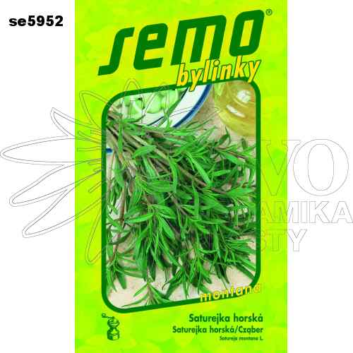 Saturejka zahradní MONTANA