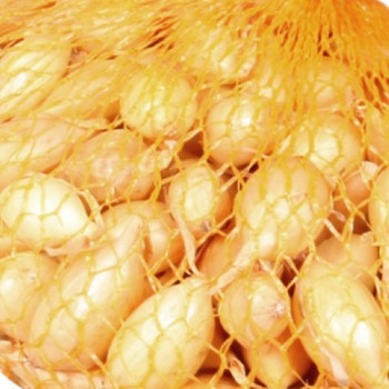 Sazečka ozimá Shakespeare