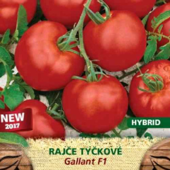Rajče tyčkové Gallant F1