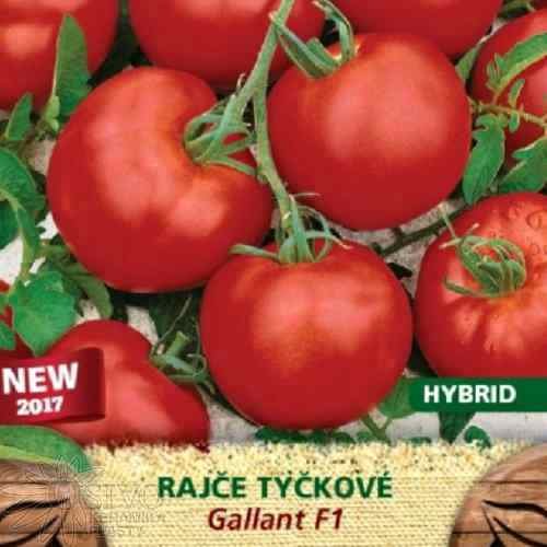 Rajče tyčkové Gallant F1