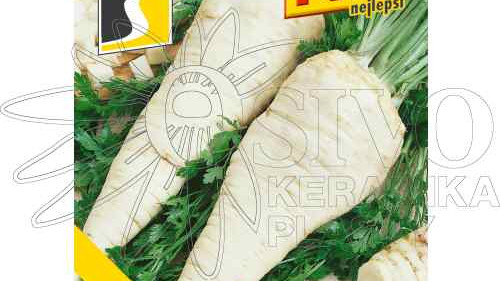 Podzimní výsev kořenové zeleniny