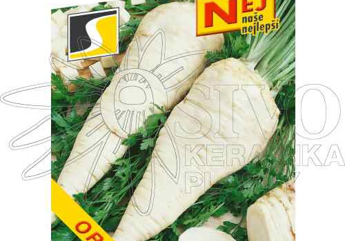 Podzimní výsev kořenové zeleniny